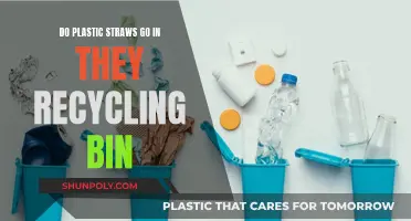 Straws and Bins: The Surprising Recycling Truth