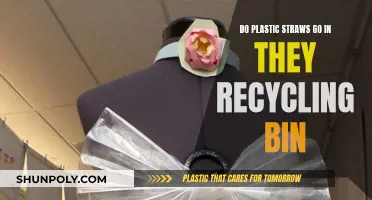 Are Plastic Straws Recyclable? Understanding Proper Waste Disposal