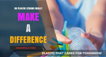 Plastic Straws: Small Change, Big Impact on Our Environment?