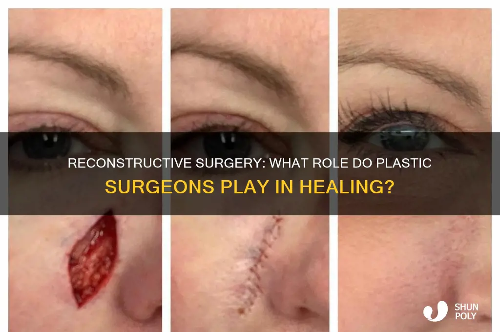 do plastic surgeon do econstructive