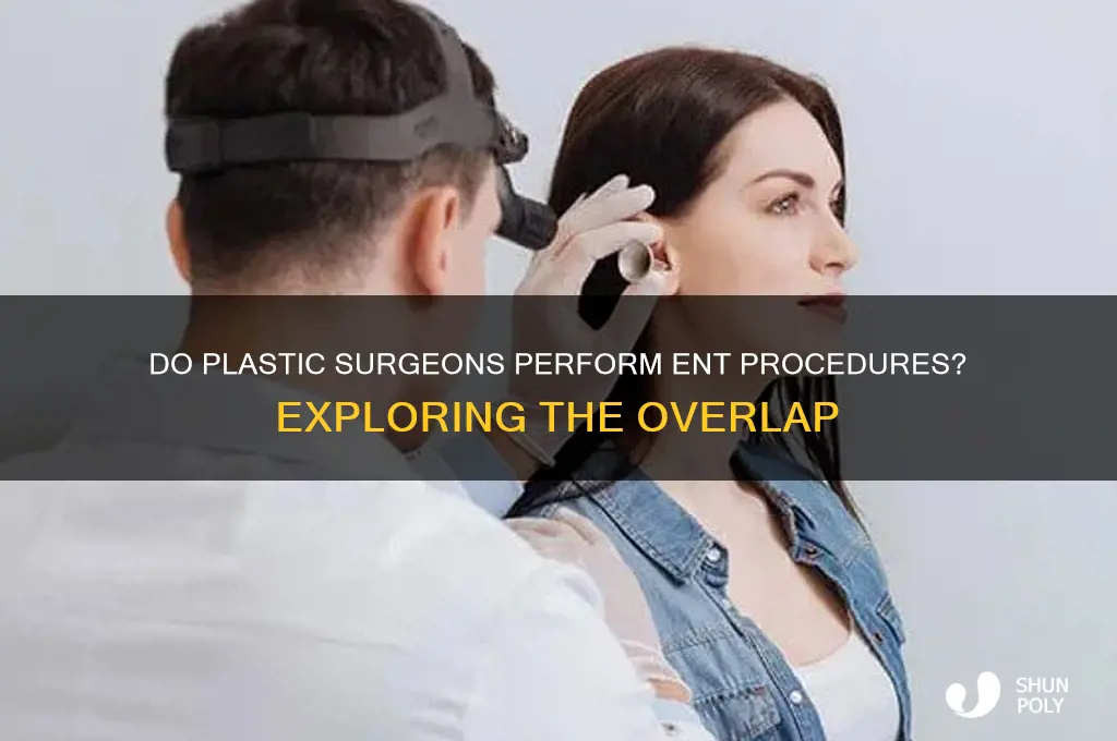 do plastic surgeons do ent work