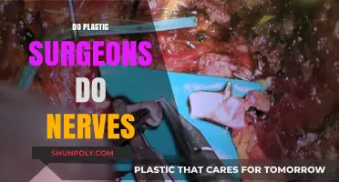 Do Plastic Surgeons Work with Nerves? Exploring Surgical Precision
