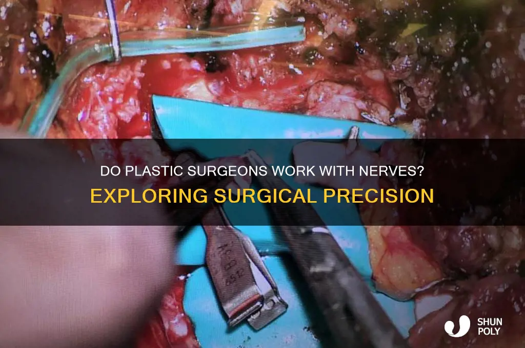 do plastic surgeons do nerves
