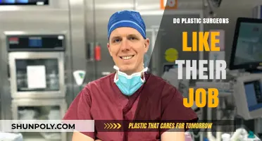 Do Plastic Surgeons Enjoy Their Work? Insights into Job Satisfaction