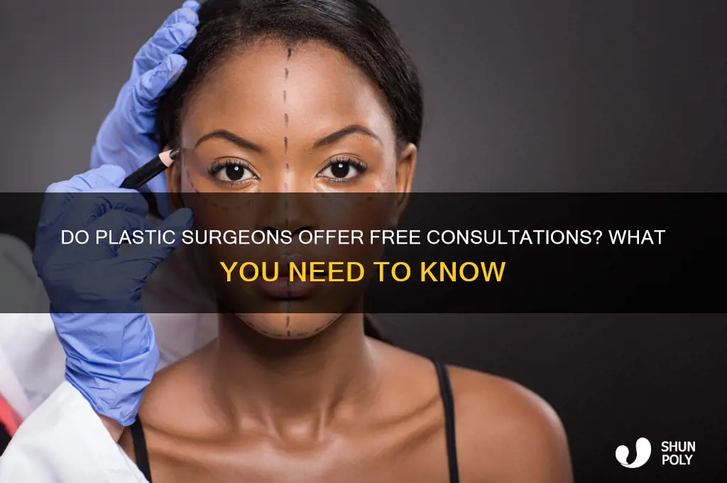 do plastic surgeons offer free consultations