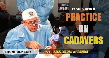 Do Plastic Surgeons Practice on Cadavers? Unveiling Surgical Training Methods