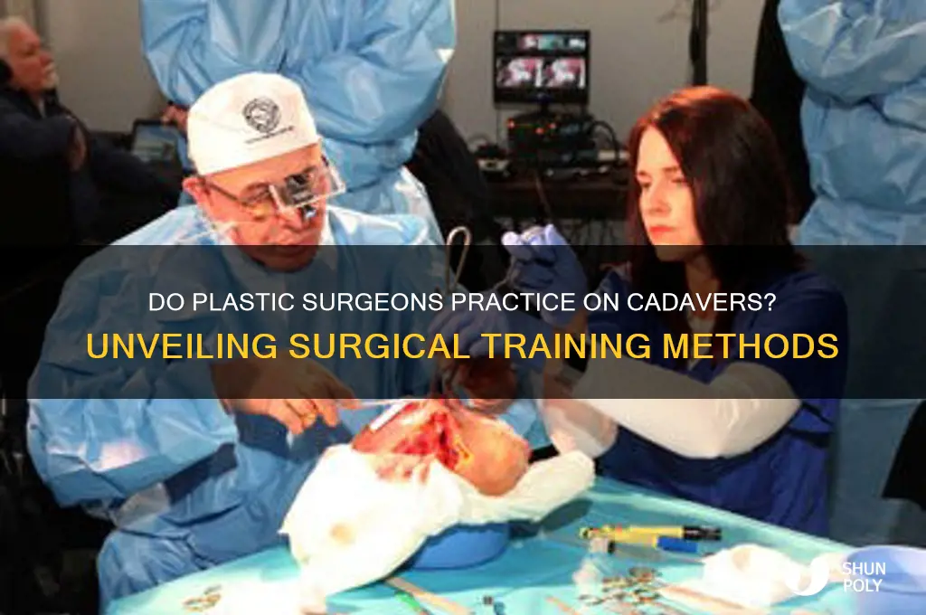 do plastic surgeons practice on cadavers