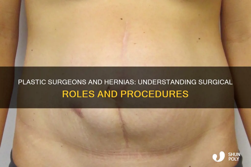 do plastic surgeons remove hernias