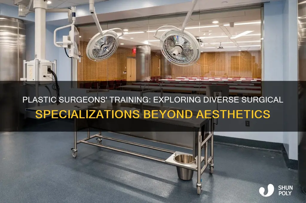 do plastic surgeons train in other types of surgery