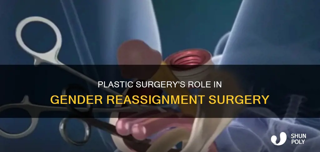 do plastic surgeosn do gender reassignment