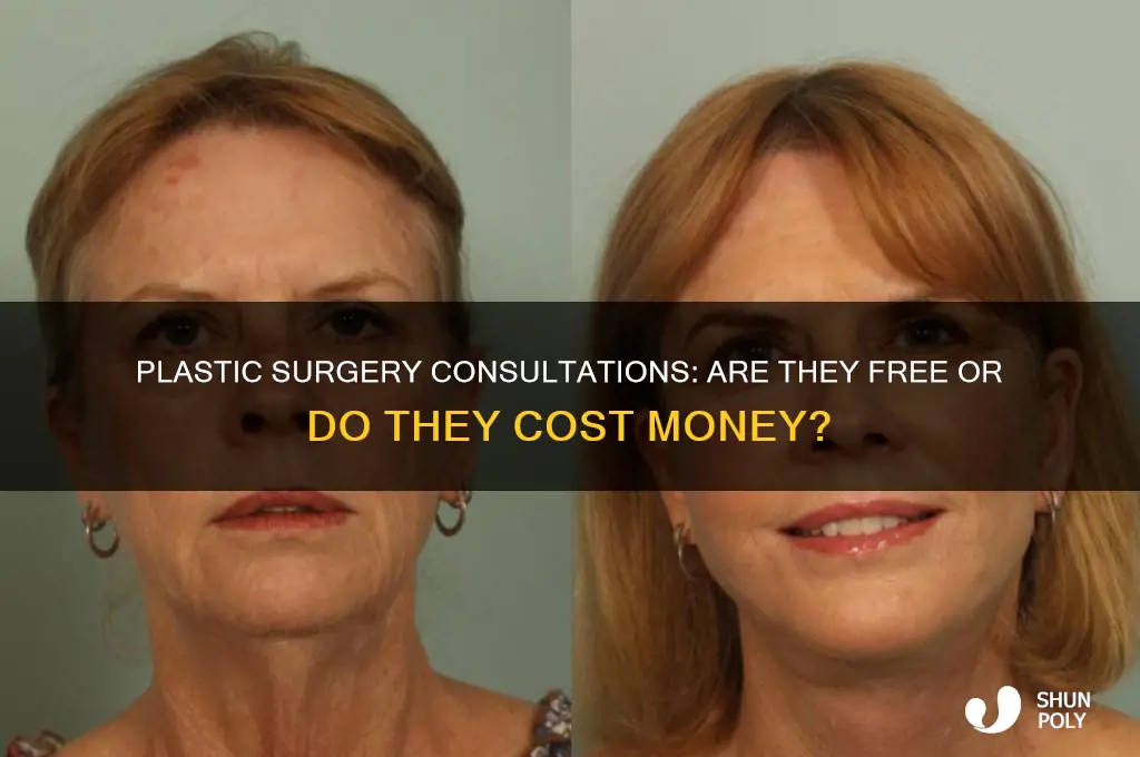 do plastic surgery consultations cost money