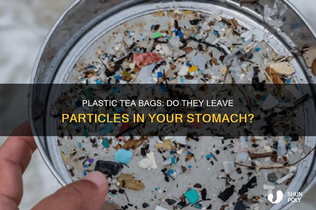 do plastic tea bags leave particles in your stomach