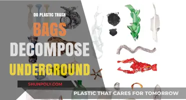 Do Plastic Trash Bags Decompose Underground? Uncovering the Environmental Impact