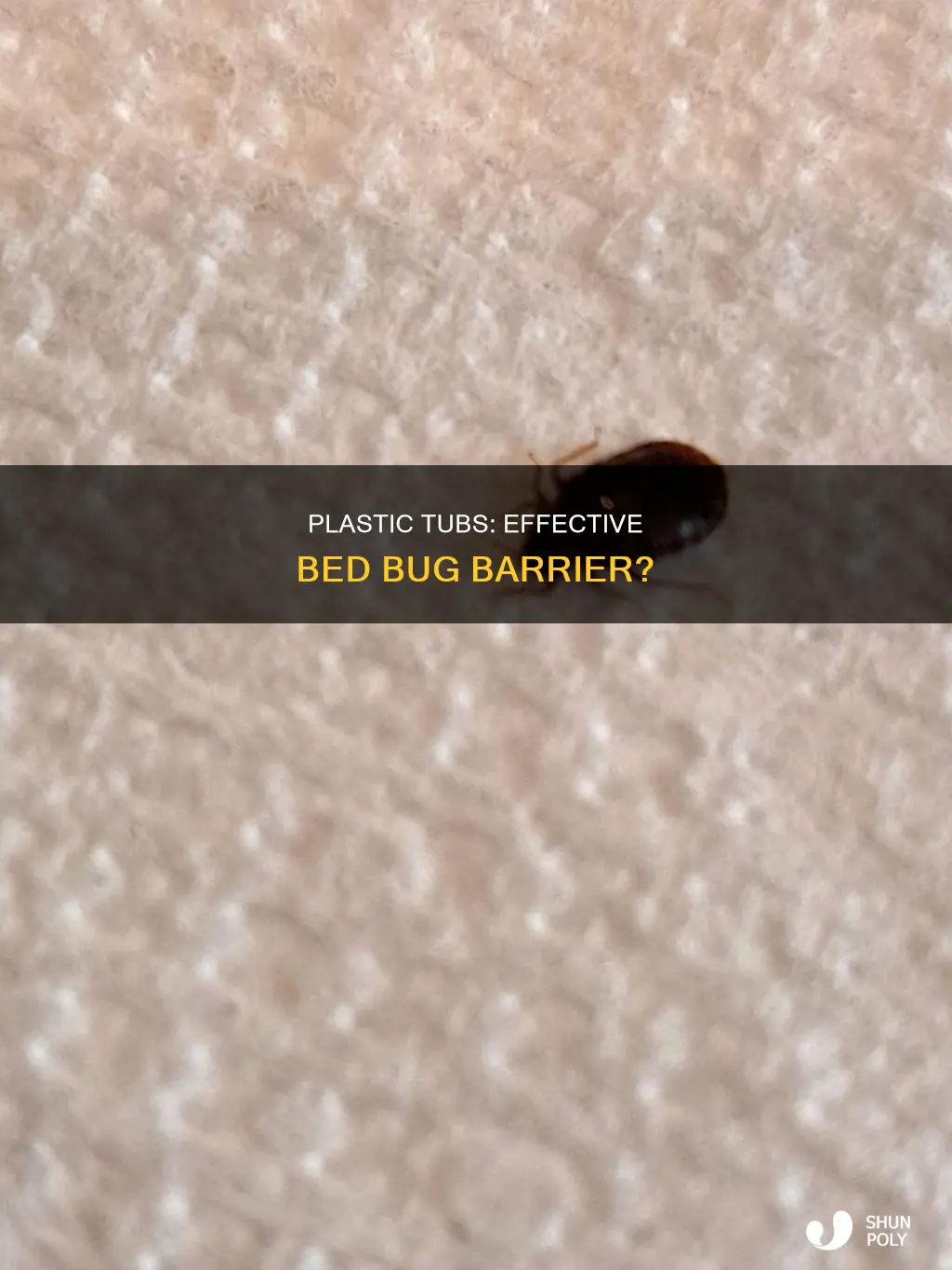 do plastic tubs keep bed bugs out