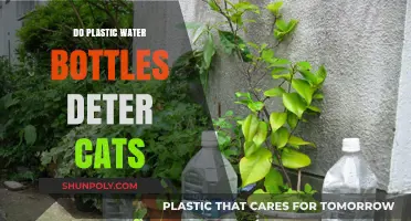 Plastic Water Bottles: Effective Cat Deterrent or Myth?