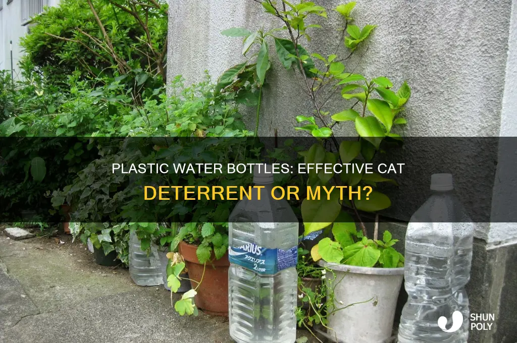 do plastic water bottles deter cats