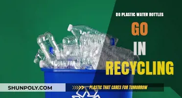 Can Plastic Water Bottles Be Recycled? A Clear Guide