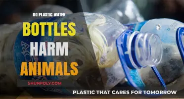 Plastic Water Bottles: Unseen Dangers to Wildlife and Ecosystems