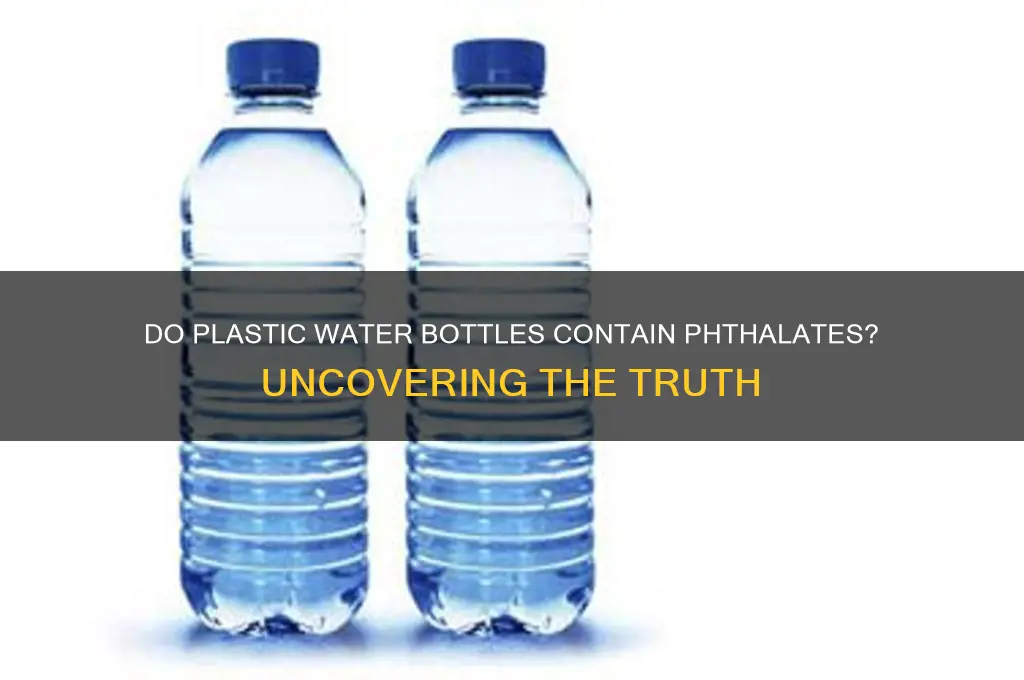 do plastic water bottles have phthalates