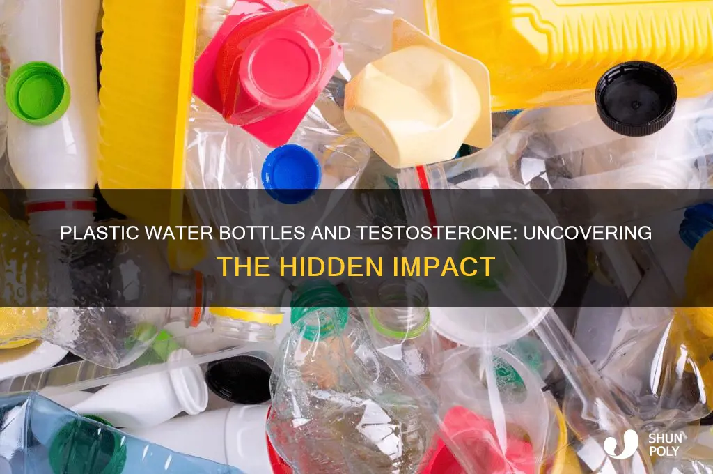 do plastic water bottles lower testosterone