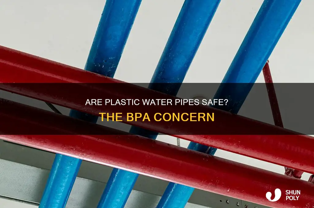 do plastic water pipes contain bpa