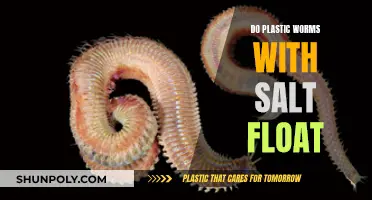 Do Salted Plastic Worms Float?