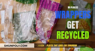 Unveiling the Recycling Journey: Do Plastic Wrappers Make the Cut?