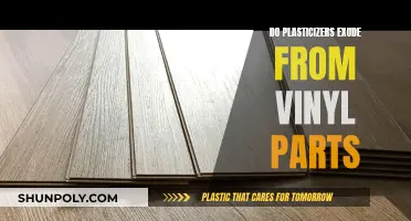 Plasticizers' Exudation from Vinyl Parts: What's the Truth?
