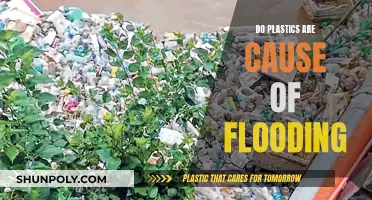 Plastics' Impact: Flooding and Environmental Harm