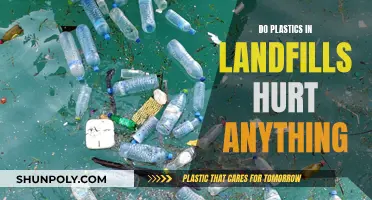 Landfills and Plastics: What's the Environmental Impact?