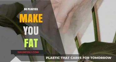 Plastics and Weight Gain: Uncovering the Hidden Link to Obesity