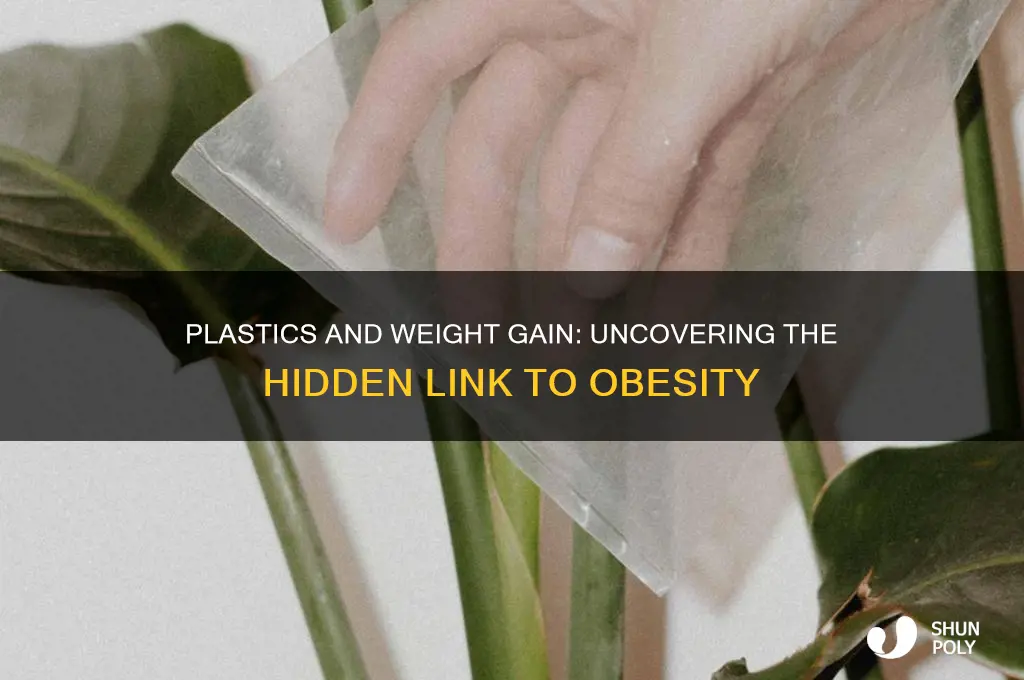 do plastics make you fat