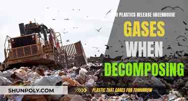 Plastics' Decomposition: Greenhouse Gas Emissions and Environmental Impact