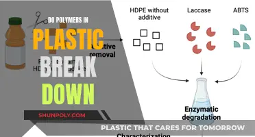 The Unstable Nature of Polymers in Plastic