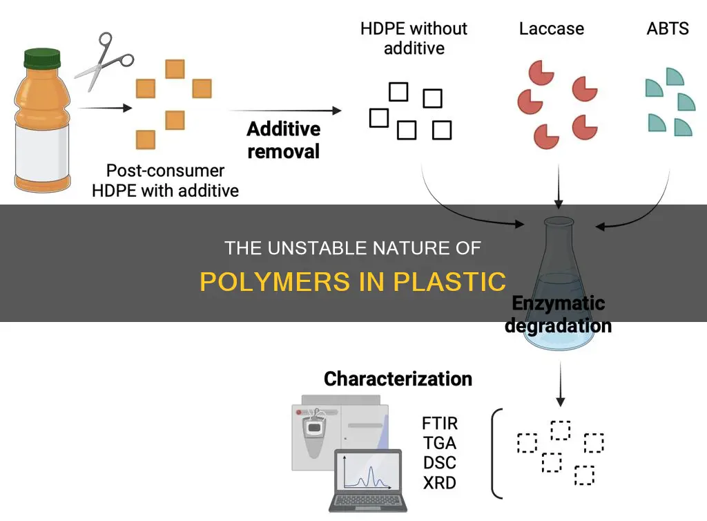 do polymers in plastic break down
