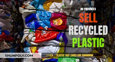 Recycled Plastic: The Role of Provinces in the Circular Economy