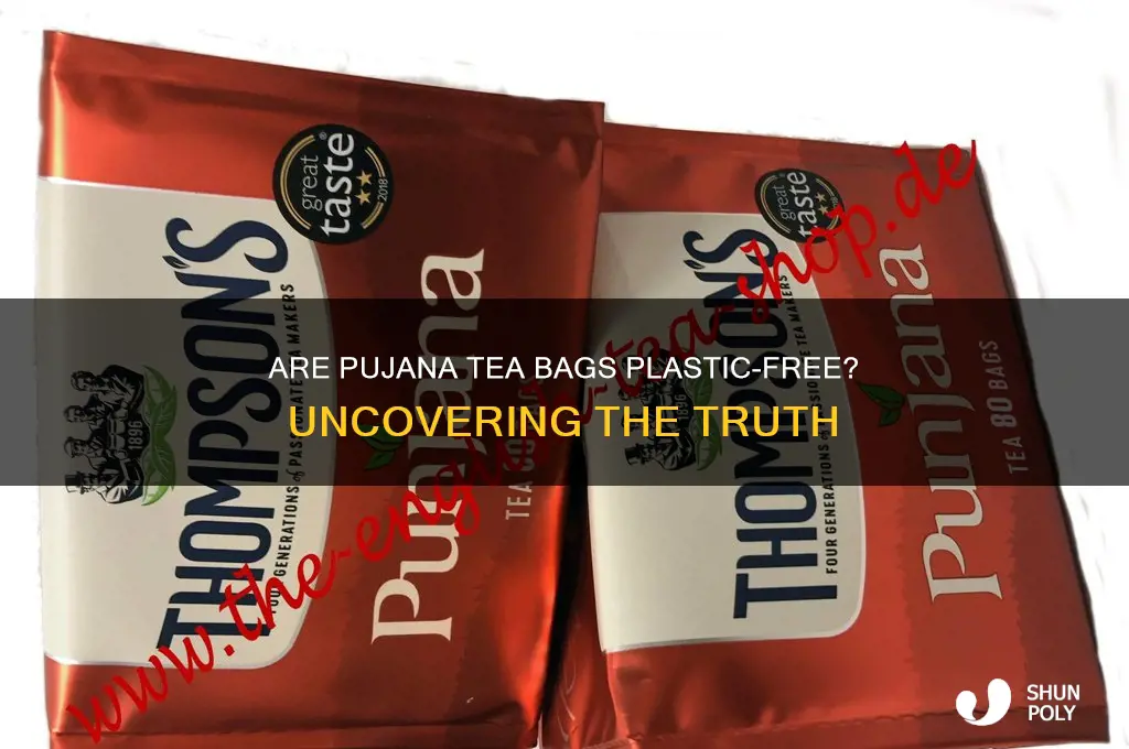 do punjana tea bags contain plastic