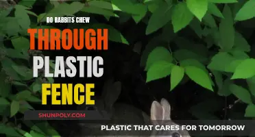 Rabbits and Plastic Fences: Will They Chew Through?