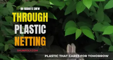Rabbits and Plastic Netting: A Dangerous Chew?