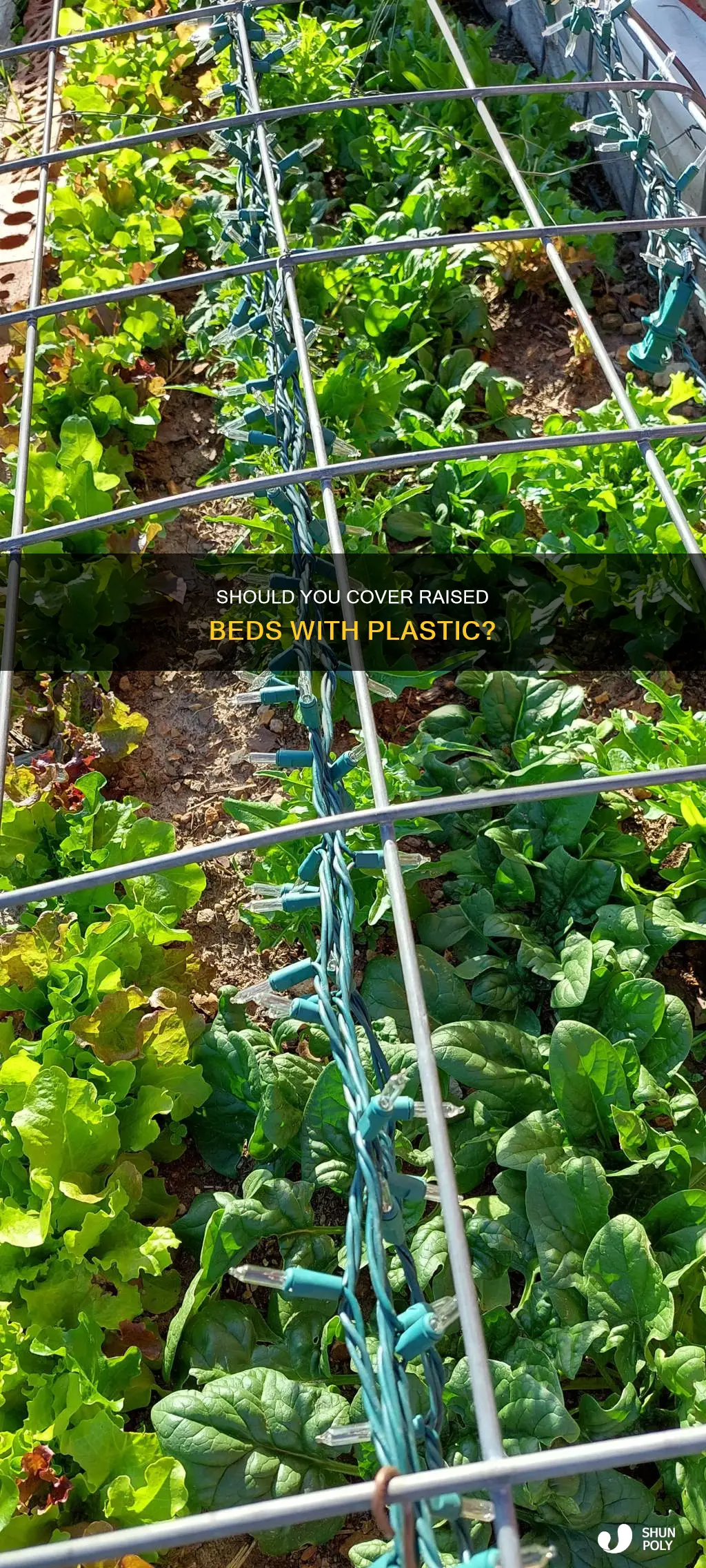 do raised beds need plastic covers
