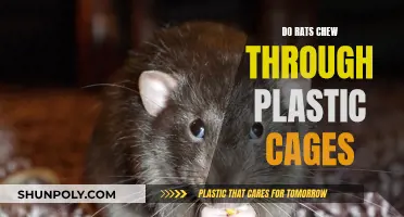 How Safe Are Plastic Rat Cages?