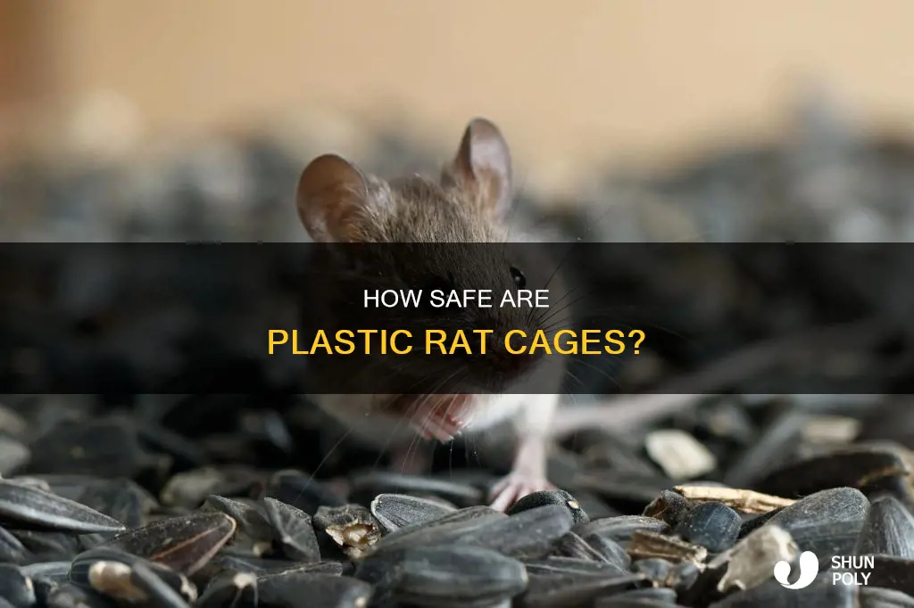 do rats chew through plastic cages