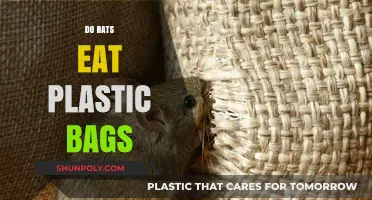 Do Rats Eat Plastic Bags? Uncovering the Truth Behind the Myth