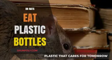 Do Rats Eat Plastic Bottles? Uncovering the Truth Behind Rodent Habits