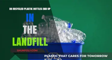 Recycled Plastic Bottles: Landfill Reality or Sustainable Solution?