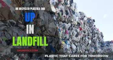 The Surprising Fate of Recycled Plastics: Landfill or Reuse?