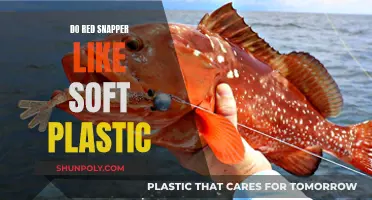 Red Snapper Soft Plastic: A Perfect Match?