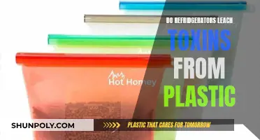 Plastic Toxins and Your Fridge: What's the Truth?