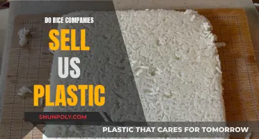 Rice Companies: Are They Selling Us Plastic?