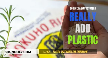 Rice Manufacturers: Plastic Contamination and Consumer Trust